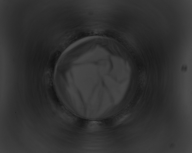 X0000091850222200710031026