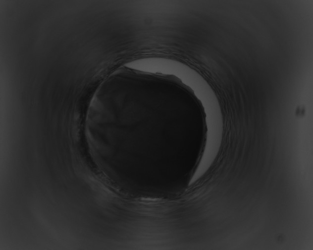 X0000091850223200710031026