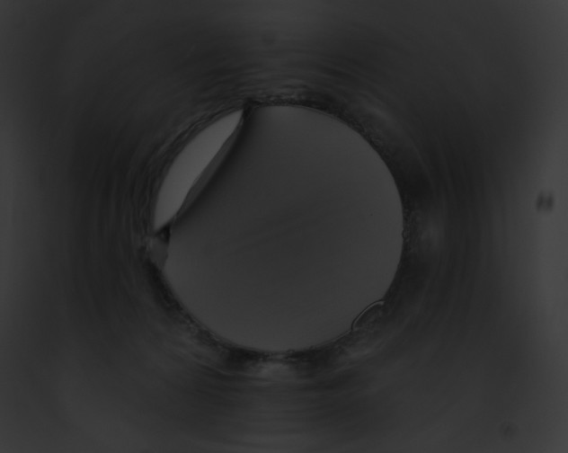 X0000091850224200710031026