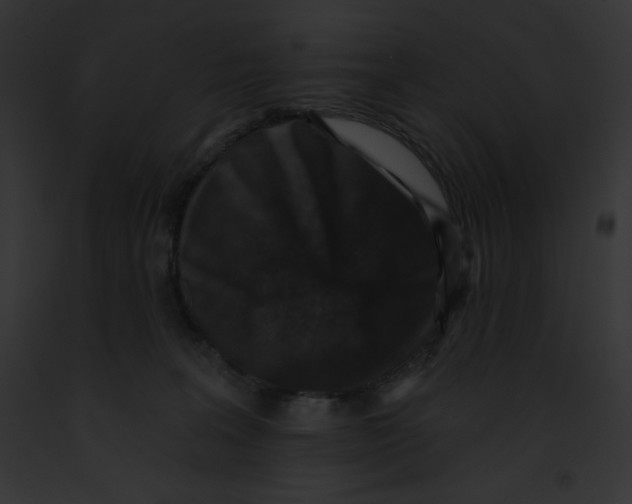 X0000091850227200710031026