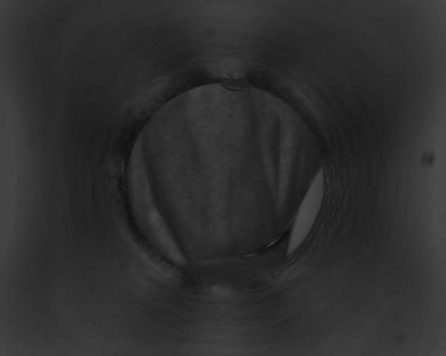 X0000091850229200710031026