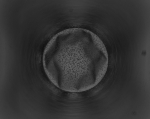 X0000091850230200710031026