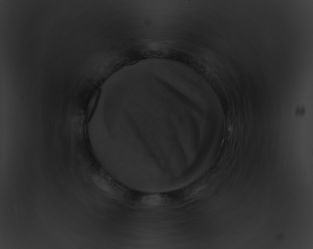 X0000091850231200710031026