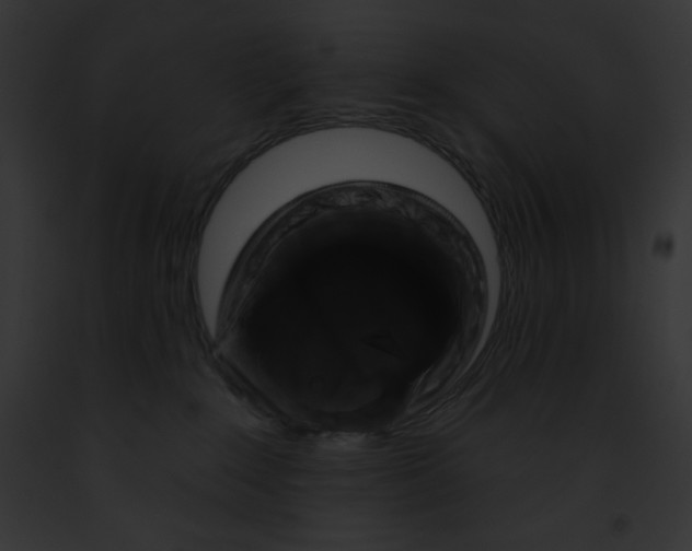 X0000091850235200710031026