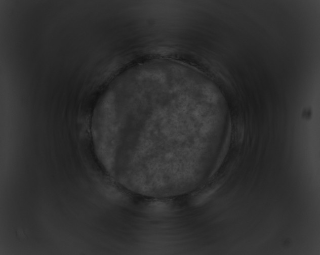 X0000091850236200710031026