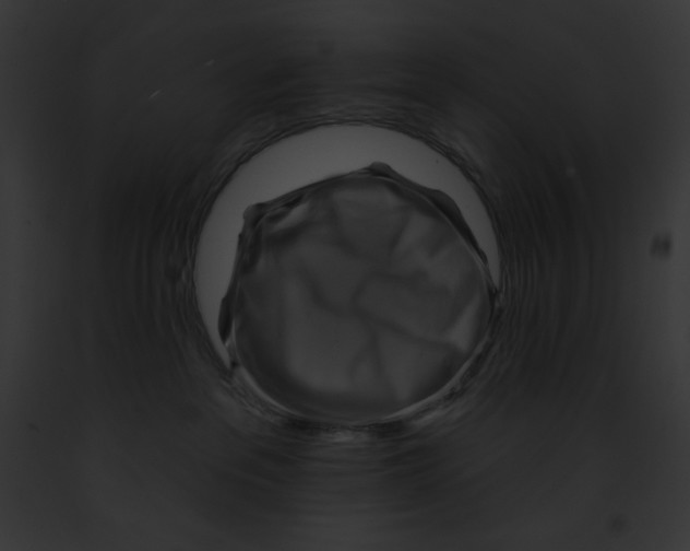 X0000091850237200710031026