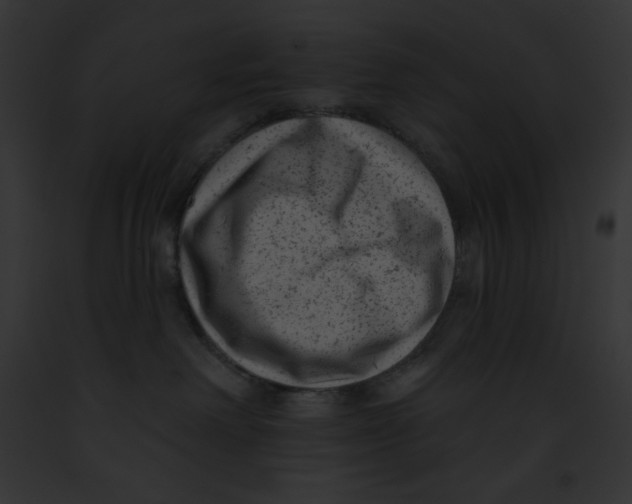 X0000091850238200710031026