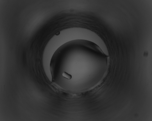 X0000091850239200710031026