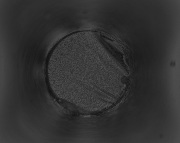 X0000091850244200710031025