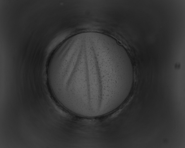 X0000091850245200710031025