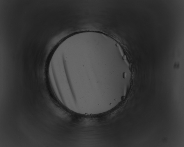 X0000091850248200710031025