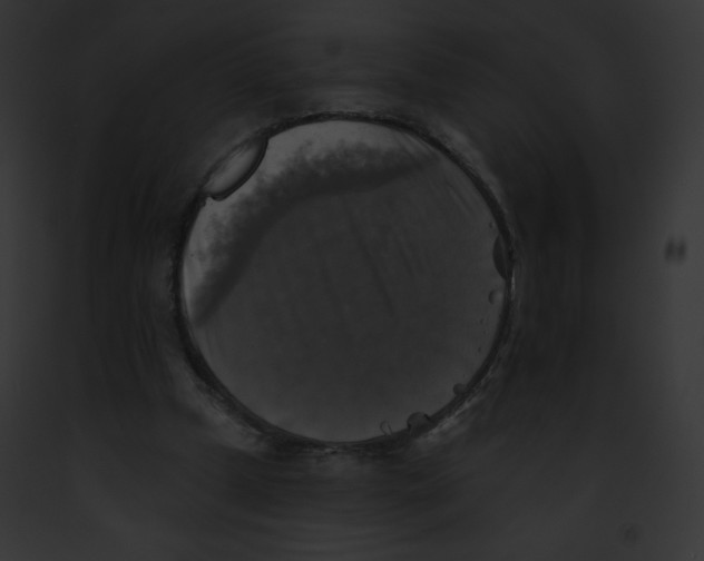 X0000091850249200710031025