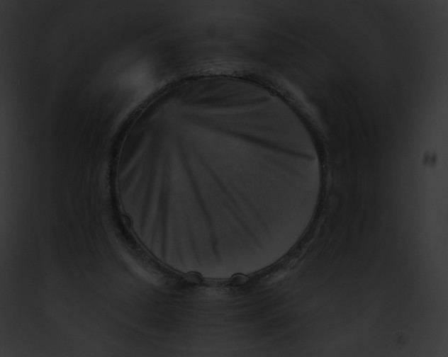 X0000091850250200710031026
