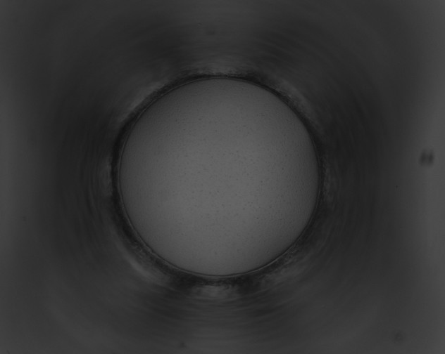 X0000091850251200710031026