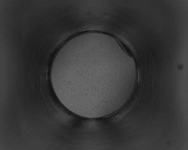 X0000091850253200710031026