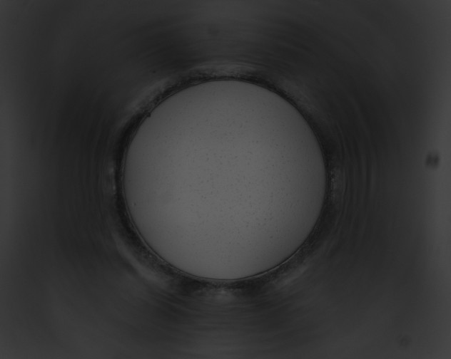 X0000091850254200710031026