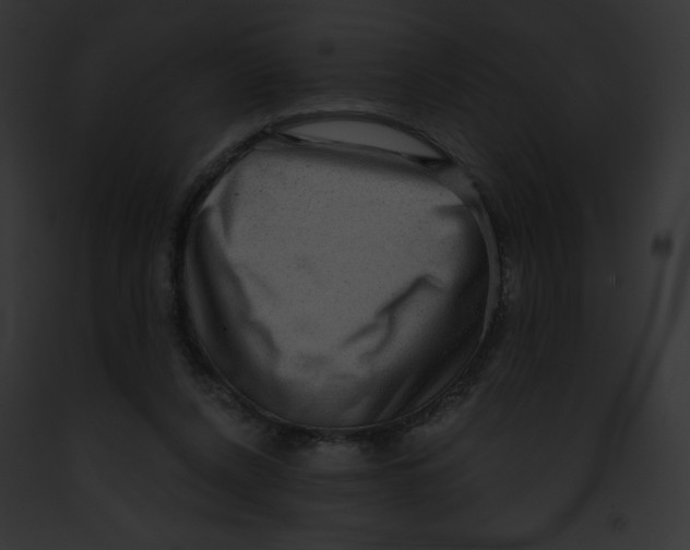X0000091850256200710031026