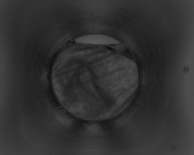 X0000091850258200710031026