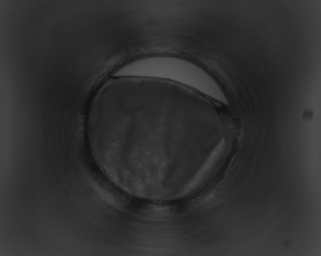 X0000091850260200710031026