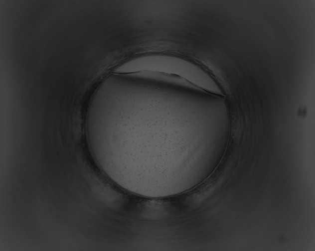 X0000091850261200710031026