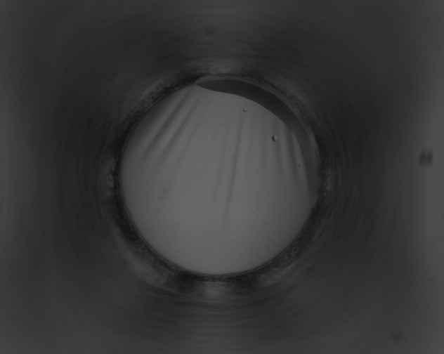 X0000091850264200710031026