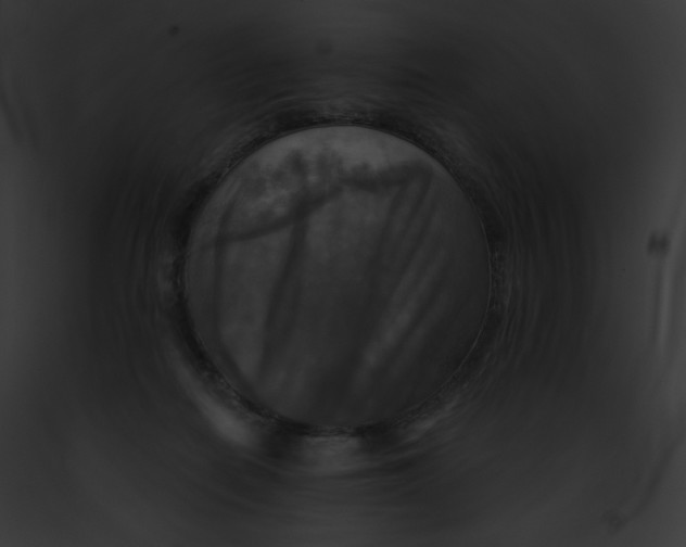 X0000091850266200710031026