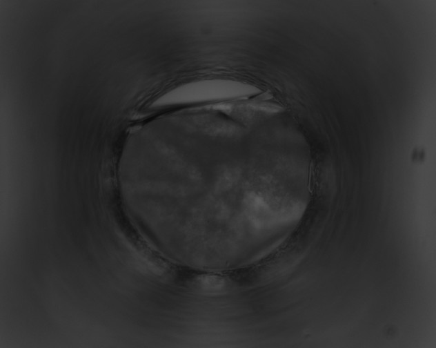 X0000091850272200710031026