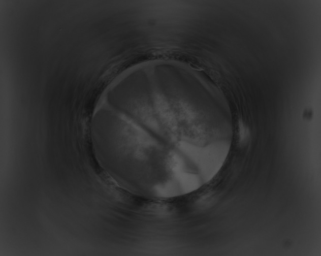 X0000091850276200710031026