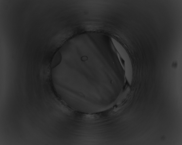 X0000091850277200710031026