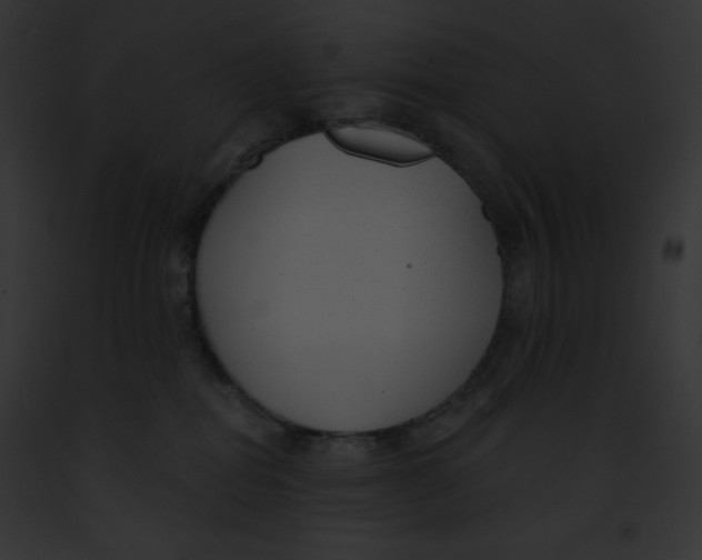 X0000091850282200710031026
