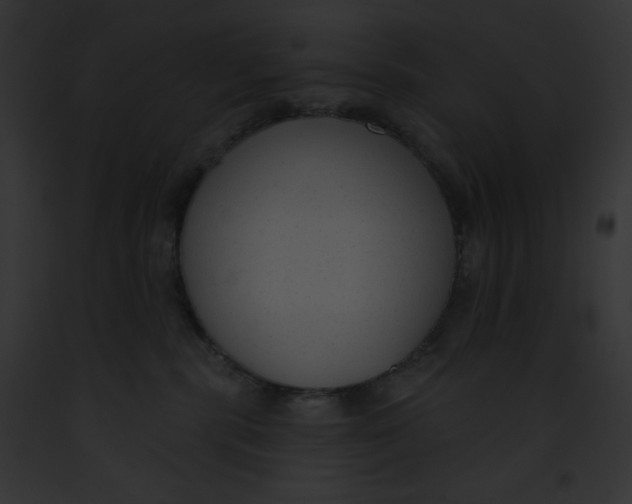 X0000091850283200710031026