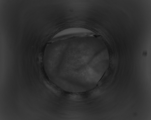 X0000091850284200710031026