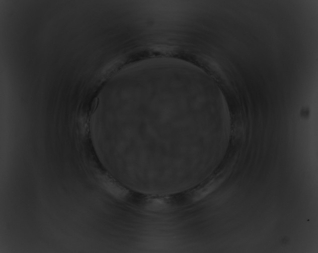 X0000091850285200710031026