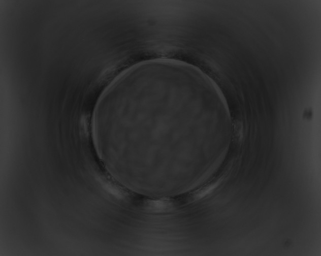 X0000091850286200710031026