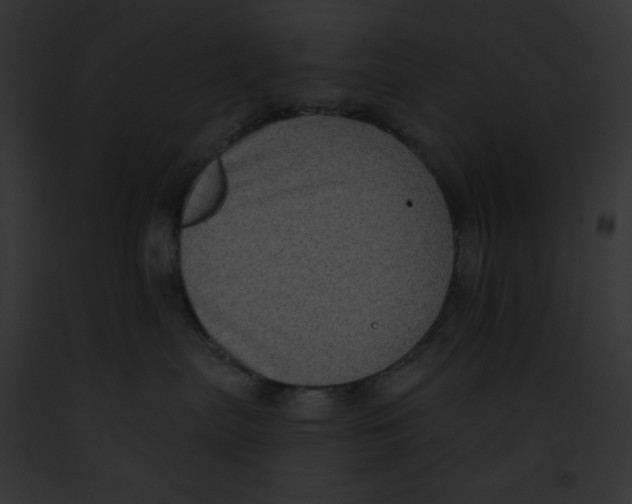 X0000091850287200710031026