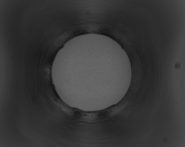 X0000091850288200710031026