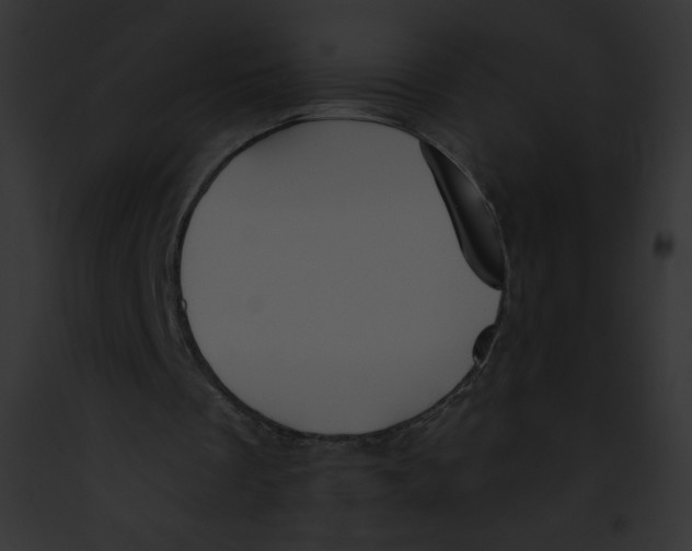 X0000091850289200710031025