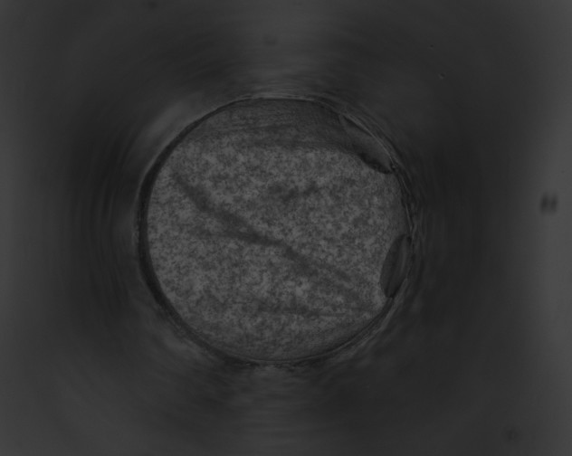 X0000091850290200710031025