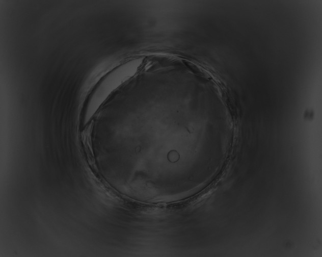 X0000091850293200710031025