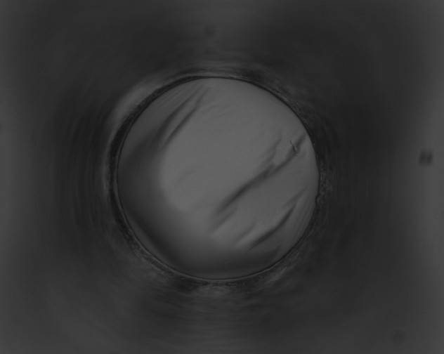 X0000091850294200710031025