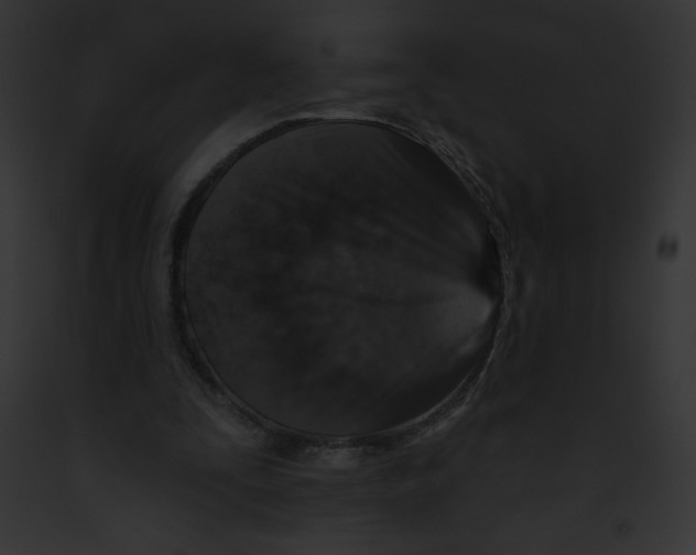 X0000091850295200710031025