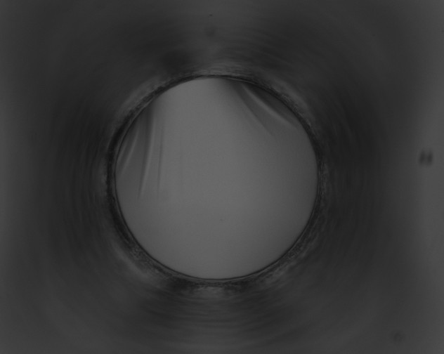 X0000091850298200710031025