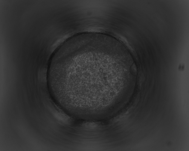 X0000091850299200710031025