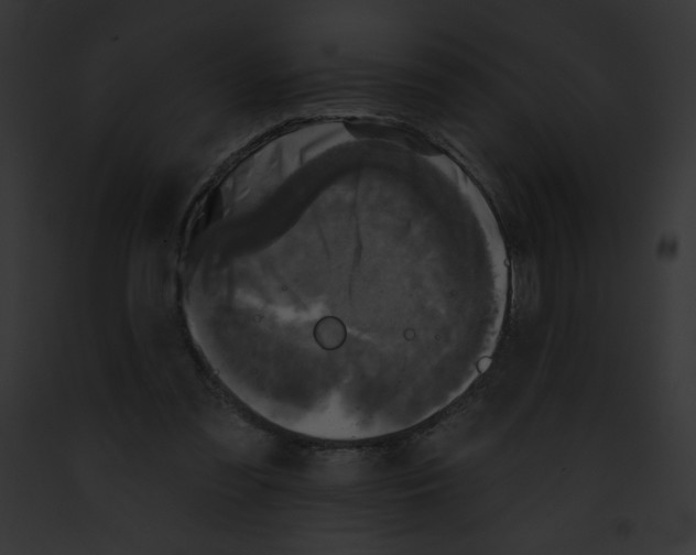 X0000091850301200710031025