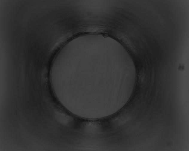 X0000091850303200710031025