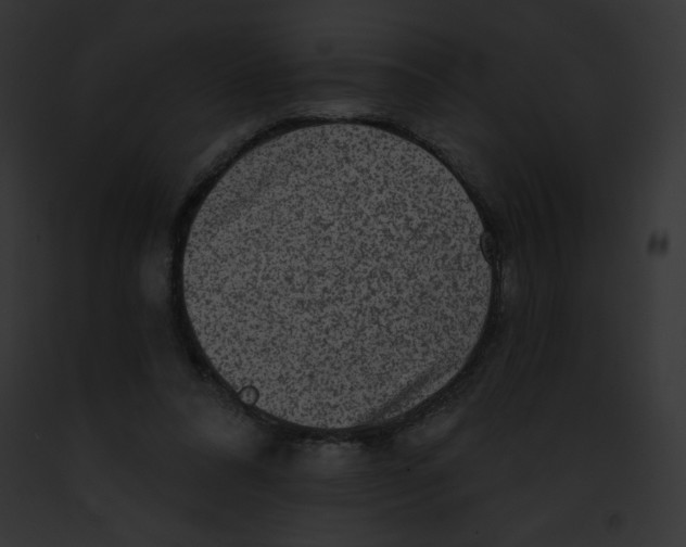 X0000091850304200710031025