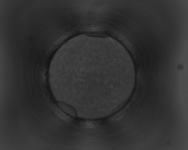 X0000091850305200710031025