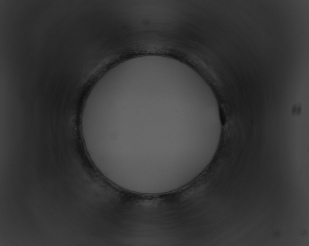 X0000091850306200710031025