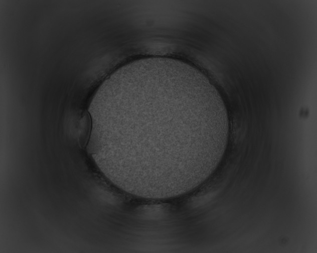 X0000091850307200710031025