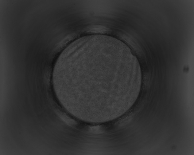 X0000091850309200710031025